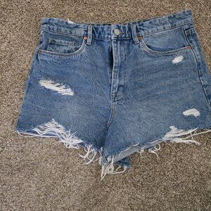 Blank NYC The Barrow Denim Shorts